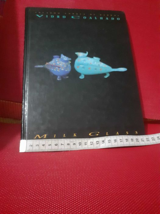 Livro " Vidro Coalhado"