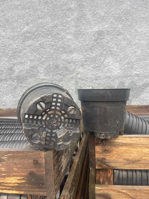 Vasos plastico 1.5lt