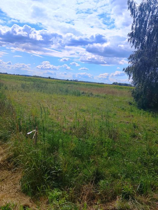 Działka budowlana - Widok 2