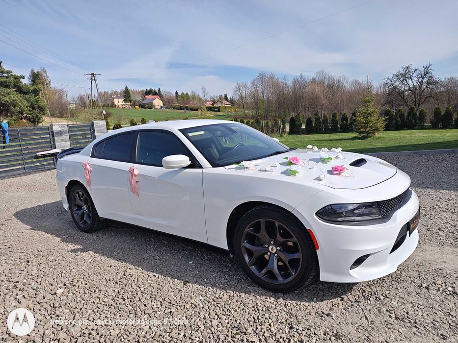 Do ślubu Dodge charger