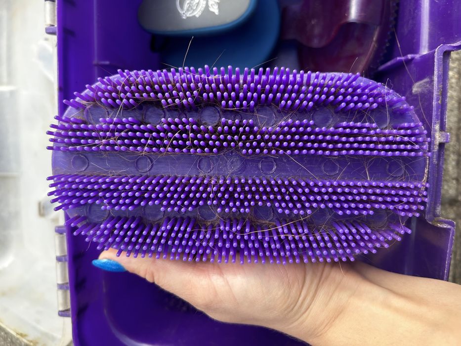 Zestaw szczotek końskich