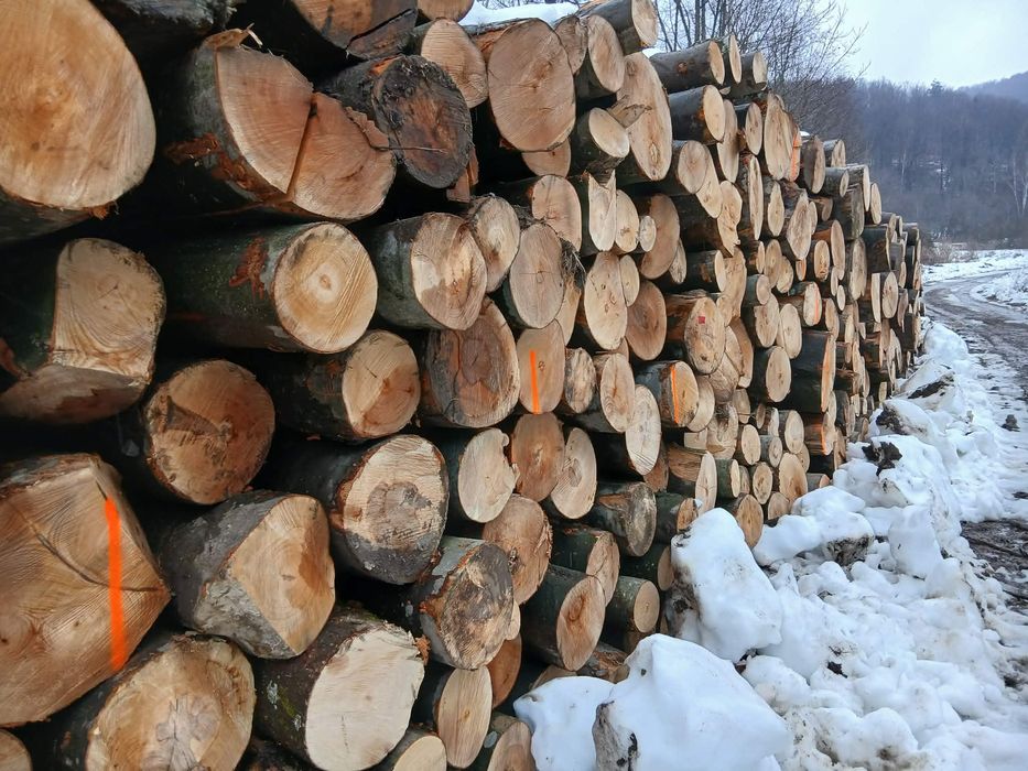 Drewno opałowe BUK GRAB drewno kominkowe  - 240,0 zł , Brzoza - SEZON