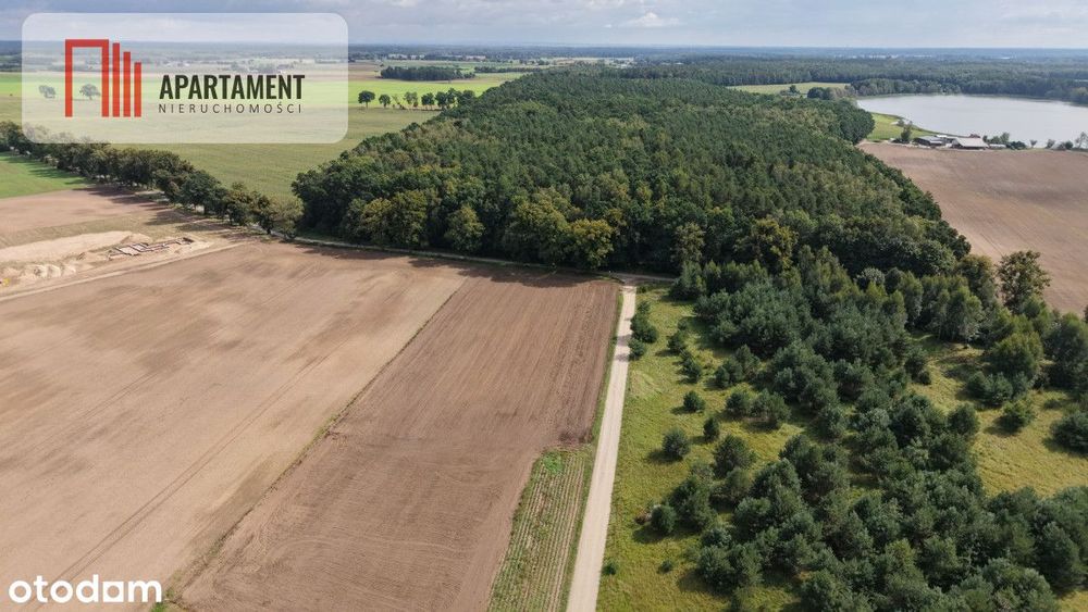 Działki z WZ – Grabowiec k. Iławy - Widok 5