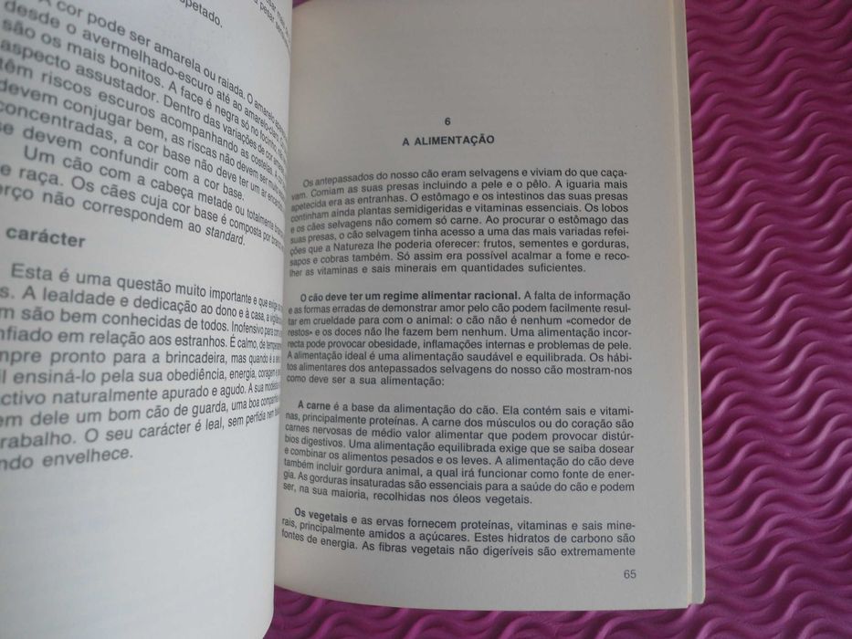 O Boxer por Horst Volkmann