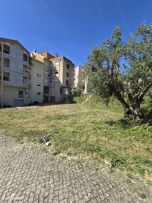 Lote de Terreno  Venda em Torres Novas (São Pedro), Lapas e Ribeira Br — Torres Novas (Santa Maria, Salvador E Santiago), Santarém