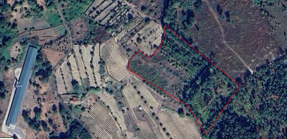 Vende-se Terreno Rústico - Agrícola - ALCAFACHE