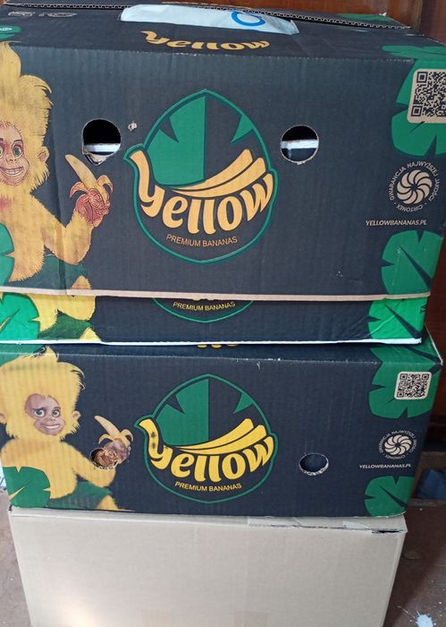 Damskie ubrania XL/XXL