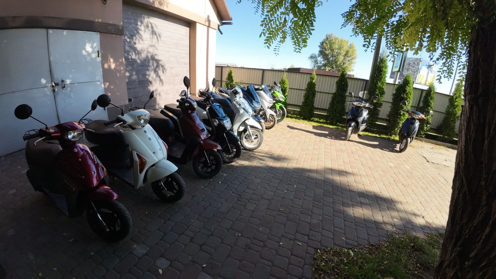 Honda Yamaha suzuki