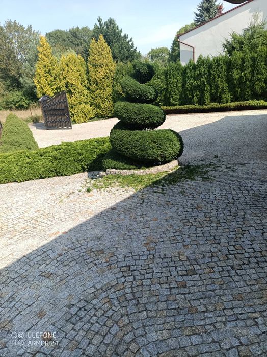 zakładanie, pielęgnacja, cięcie, wertykulacja ogrodów