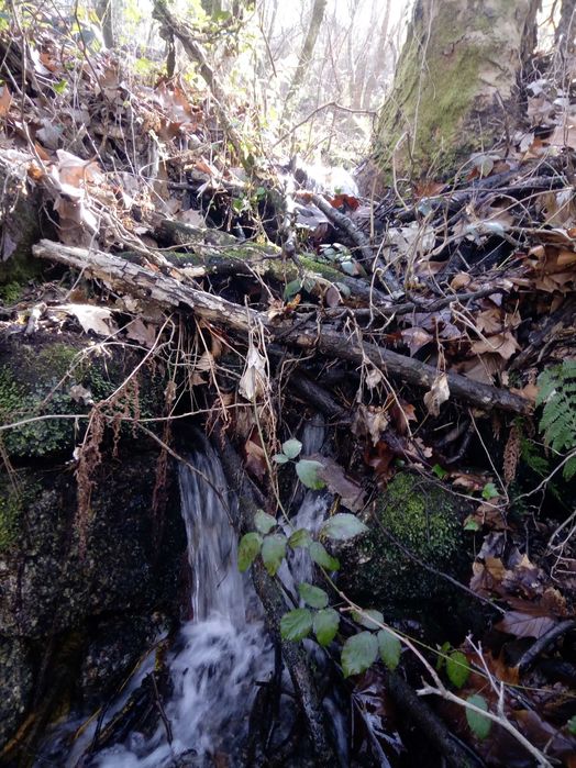 Terreno Gerês Caniçada