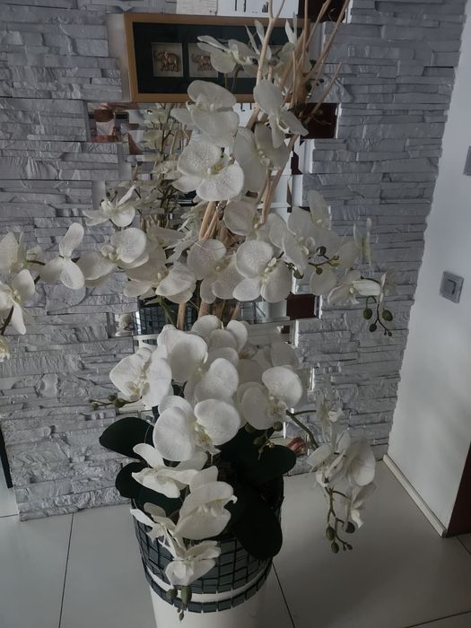 Storczyk sztuczny duży