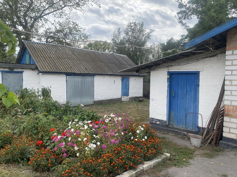 Продам будинок с. Пузикове
