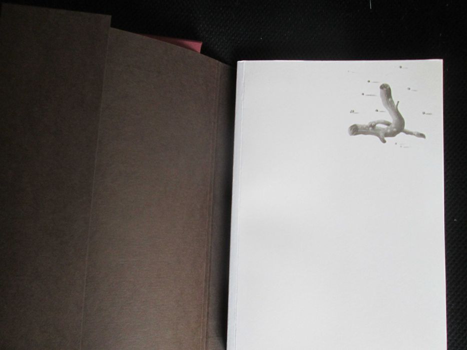 Luuanda, edição especial, numerada e autografada, José Luandino Vieira