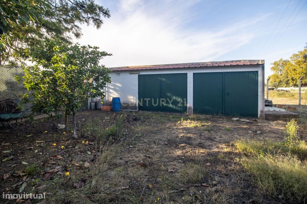 Terreno Rústico em Quinta do Anjo, Palmela - 11.800m2