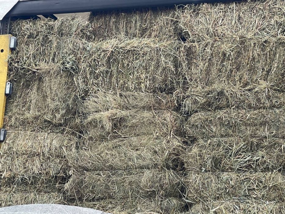 Сіно лугове 16.5 кг