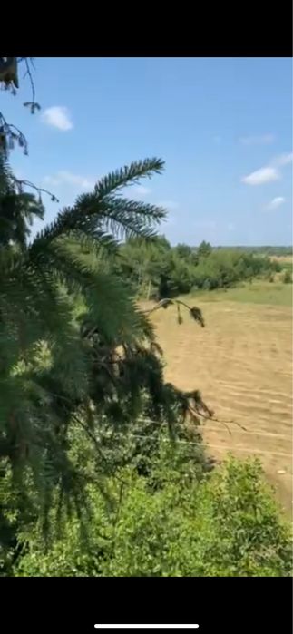 Будинок хутір біля Полиць