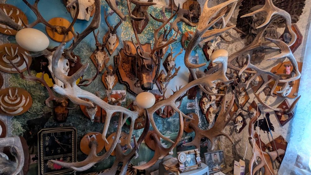 Колекція мисливських трофеїв