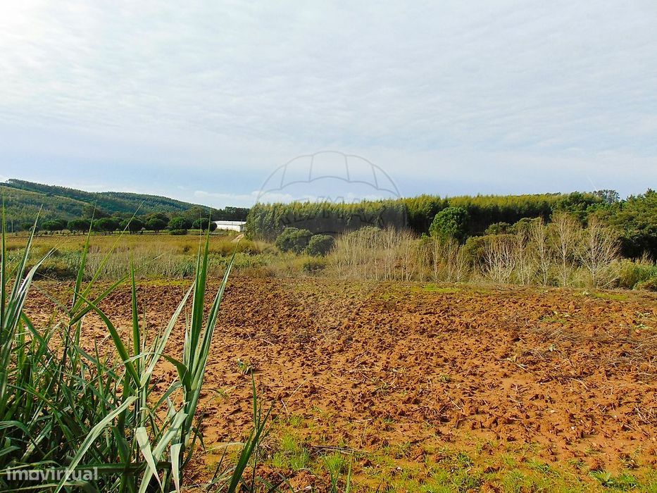 Terreno  para venda