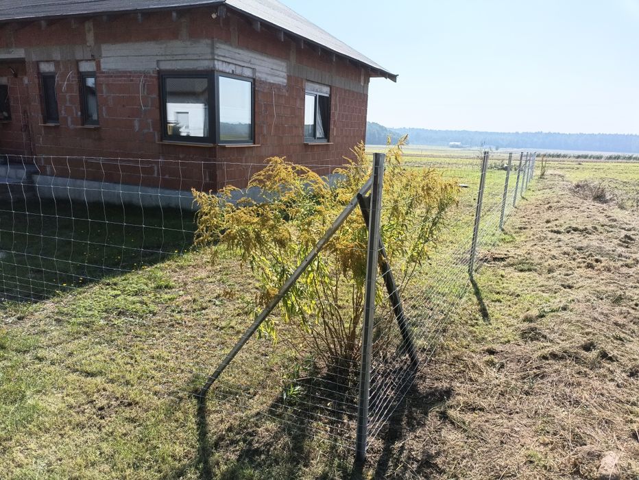 Ogrodzenie systemowe, tymczasowe ,budowlane, leśne ,siatka leśna