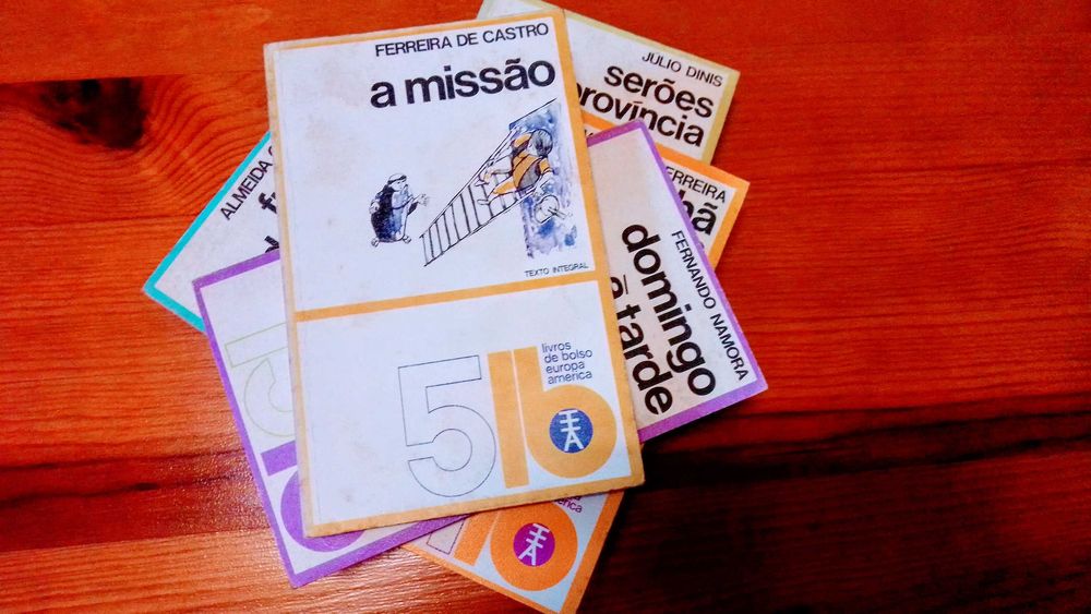 Lote de Cinco Livros de Bolso