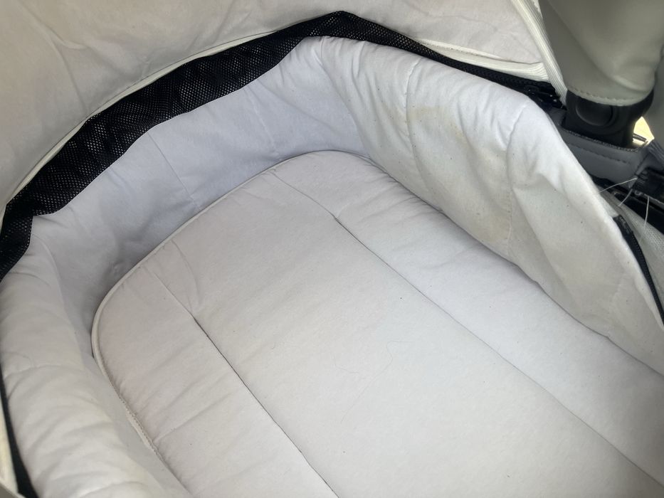 Дитяча коляска коляска 2в1 Viktoria Gold Classic Eco