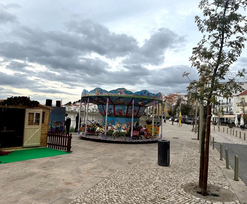 Carrossel infantil mais camião