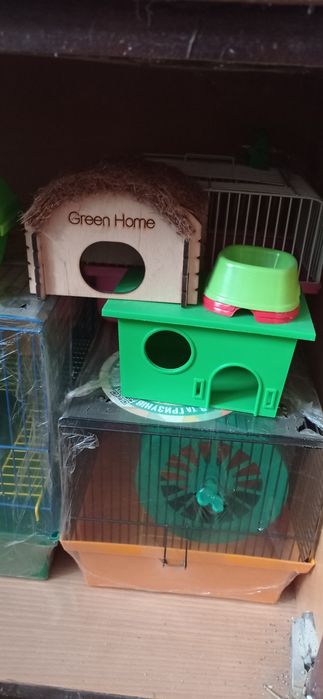 Завжди!!!джунгарики,клітки.