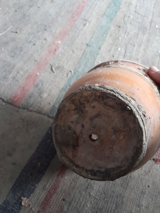 Розмальовані вазончики