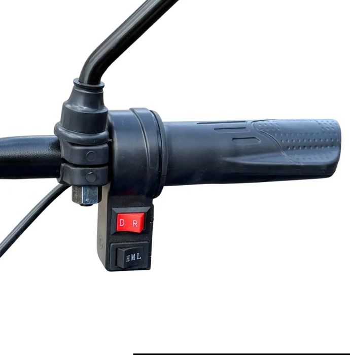 Вантажний електричний трицикл -1200W