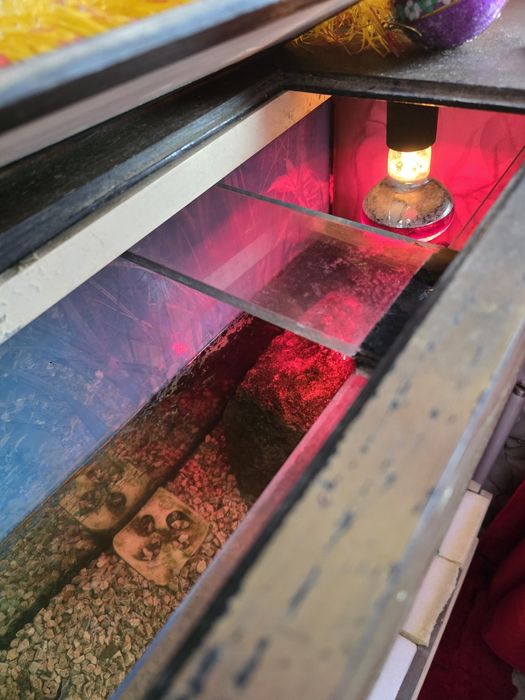 Аквариум на 200л