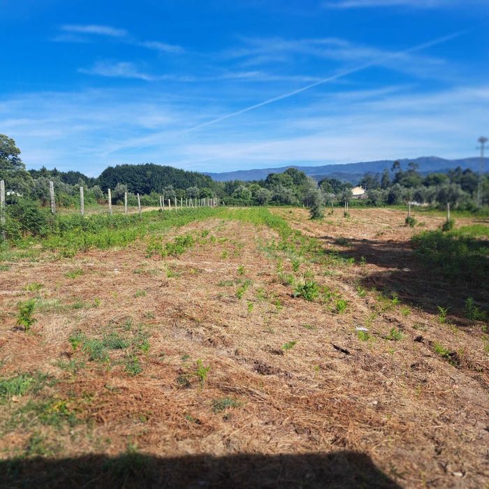 Vende-se Quinta com área urbana no centro de Fataunços, concelho de Vouzela