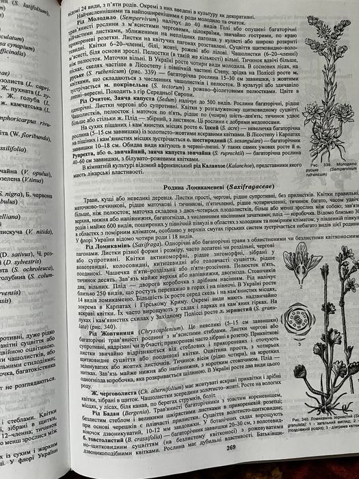 Книга Ботаніка