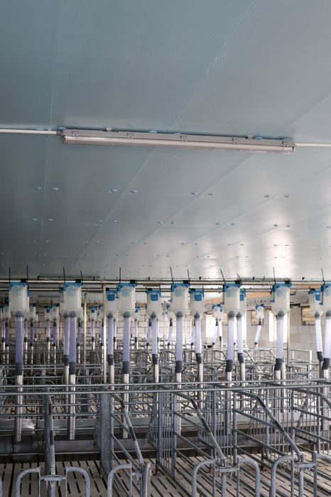 Płyty Termoizolacyjne Dachowe Styrodur XPS AGRO Podsufitka Podbitka