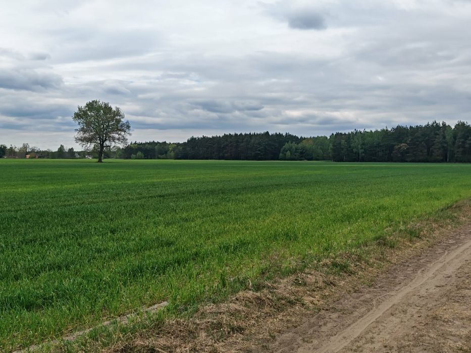 Sprzedam działkę budowlaną