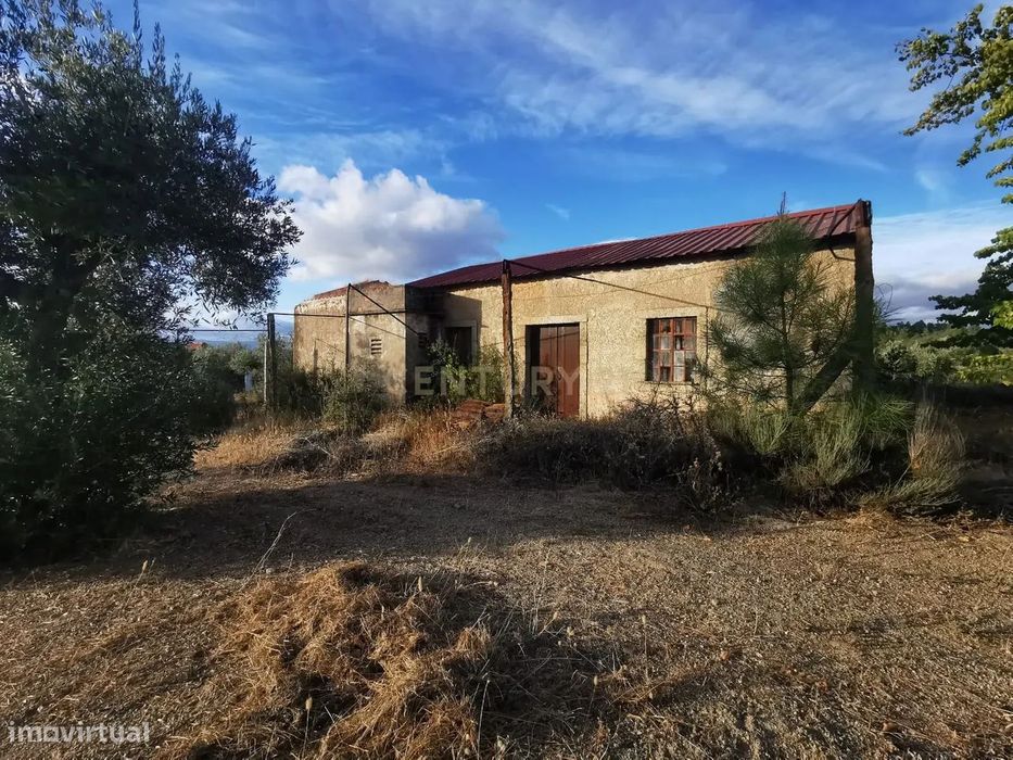 Terreno rústico com construção e poço – Freixial do Campo