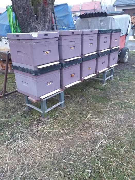 Ule wielkopolskie 12 ramkowe, styropianowe (owipian) Łysoń