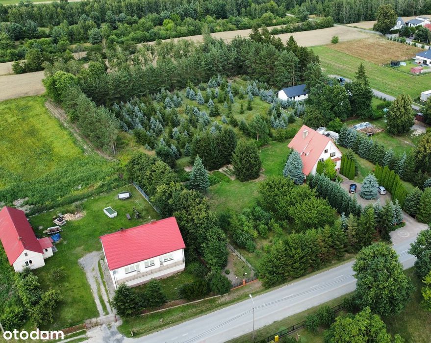 Urokliwa działka budowlana 1104 m² | MPZP | Cisza i świerkowy klimat