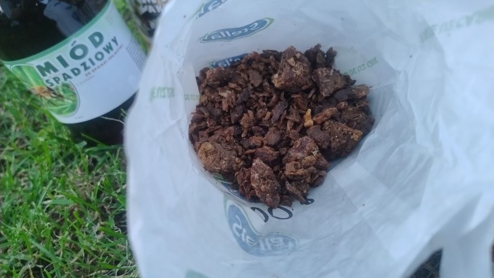 Kit pszczeli, propolis