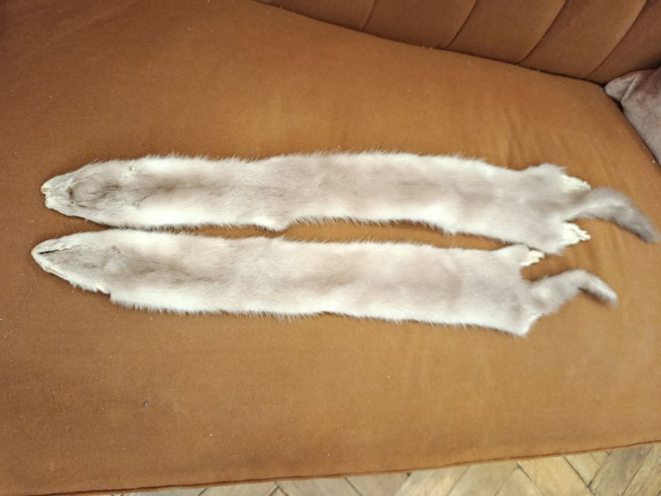 Skórki norek beżowe