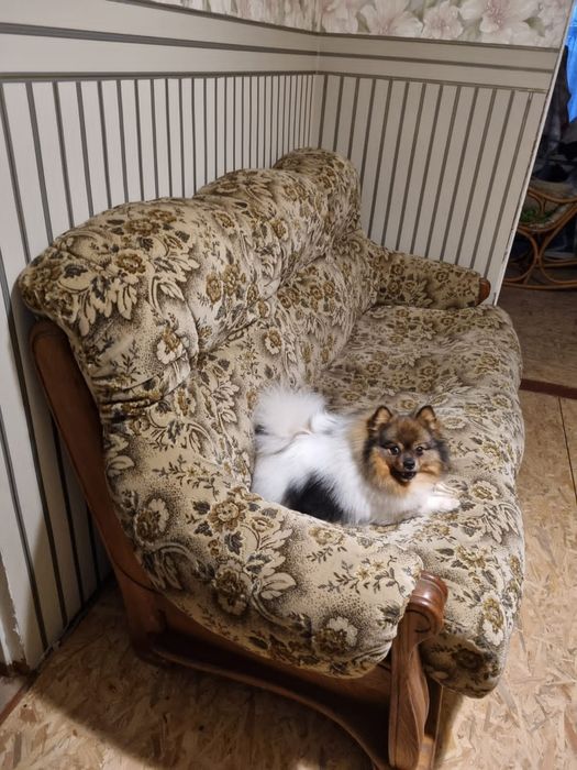 Продам диван раскладной