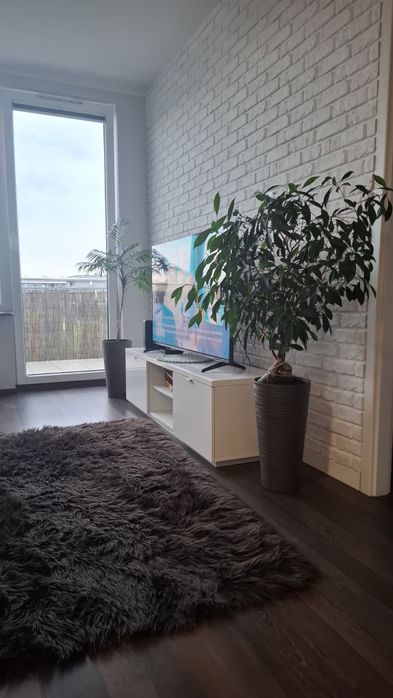 Mieszkanie – Bronisławka, powiat nowodworski - Więcej