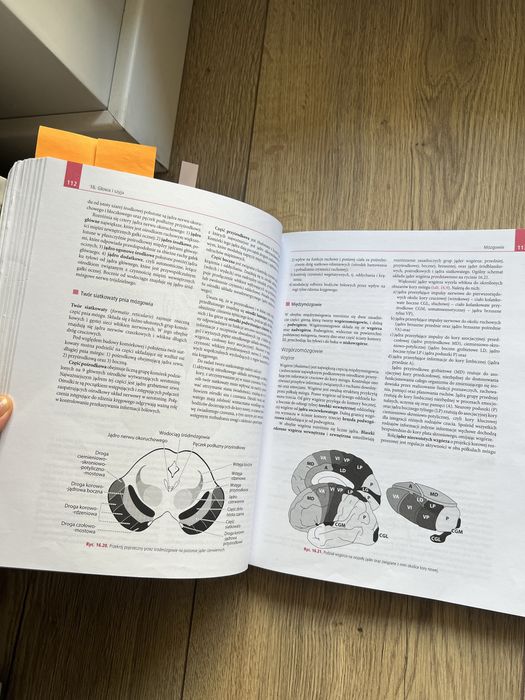Ksiazki anatomia i hostologia zabel wozniak mcminn