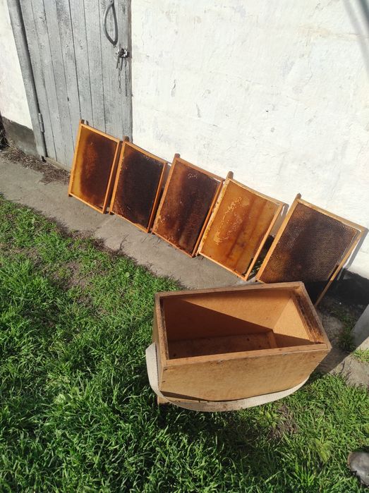 Продам суш, 300 рамка