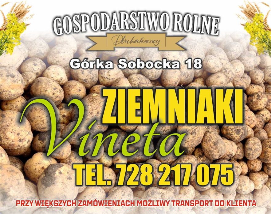 Ziemniaki VINETA