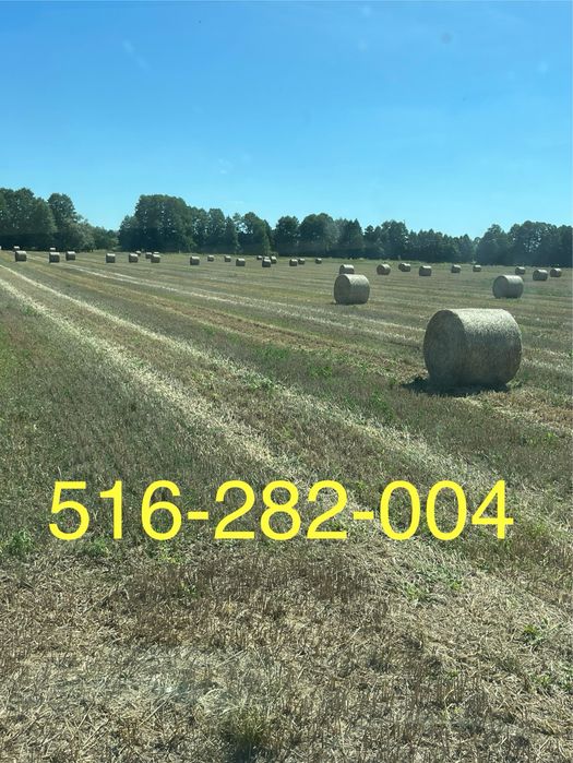 Słoma w balotach