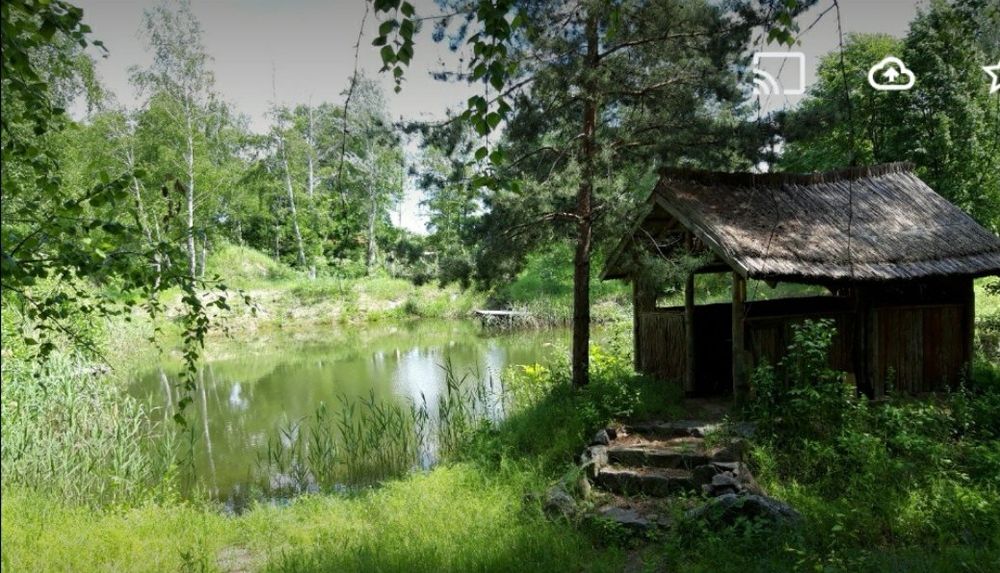 Відпочинок на природі, альтанки, будинок, мангал, баня, сосновий ліс,