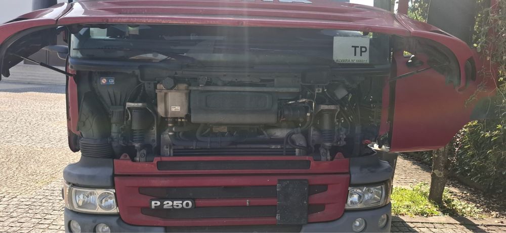 Scania P 250 ano 2013