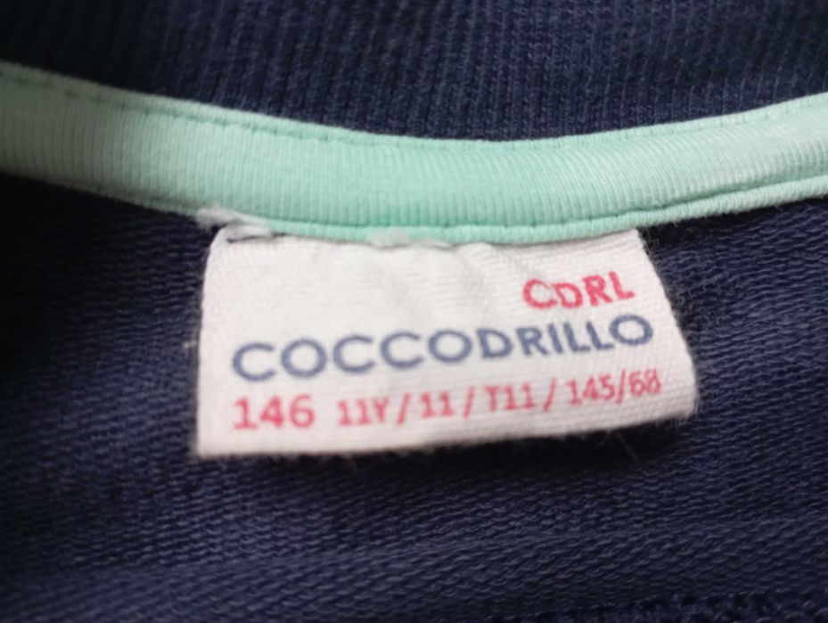 Dres chłopięcy Coccodrillo rozm. 146