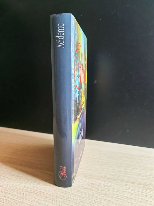 Acidente de Danielle Steel