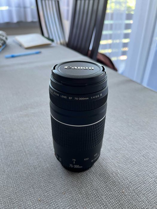 Canon EF 75-300mm f/4-5.6 III